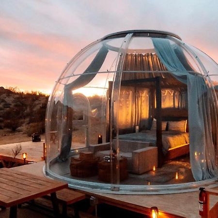 Jthavn-Joshua Tree Remote Dessert Bubble Dome Exterior foto